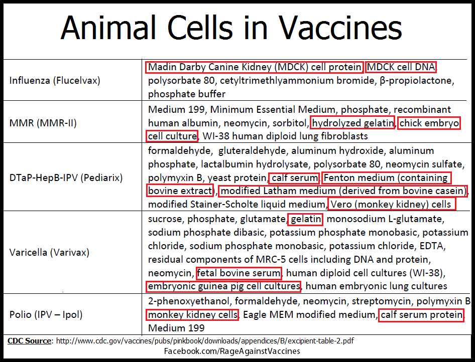 Number of Vaccines | Journey Boost