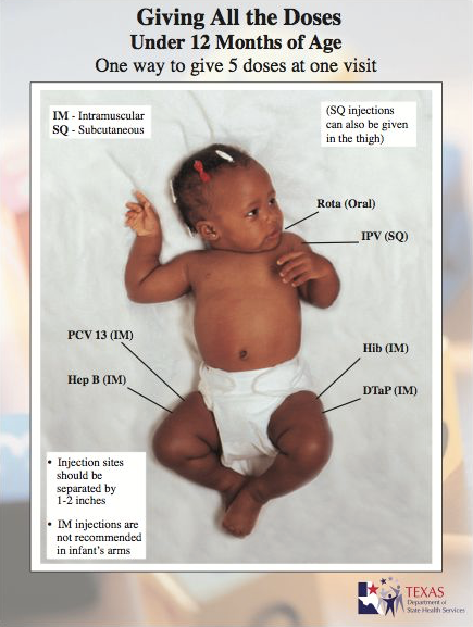 A picture showing how to inject a baby under the age of 12 months at one visit.  IPV in the left arm, PCV 13 and Hep B for right thigh, Hib and DTaP for  left thigh, and rotavirus orally.